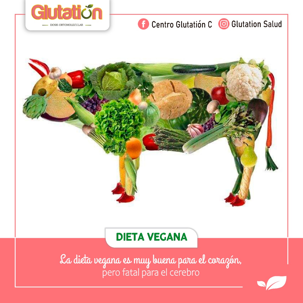 Dieta Vegana: Beneficios y Riesgos.